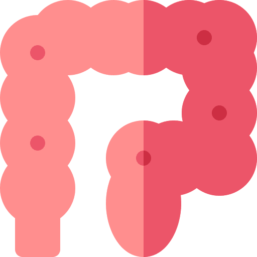 Colon intestine healthcare and medical appendix icon