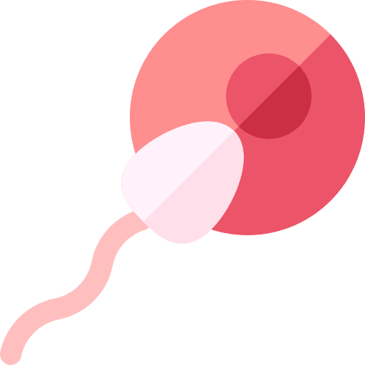 Fertilization pregnancy fertilization reproduction icon
