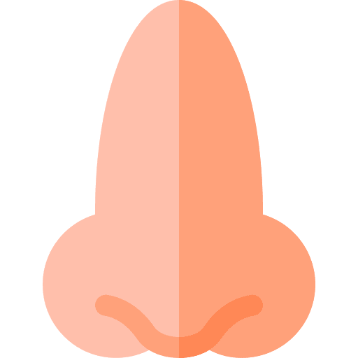 Nose smell healthcare and medical face icon