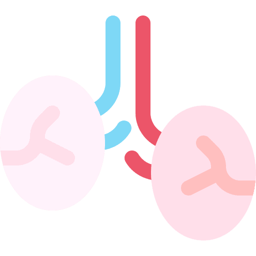 Testicles body reproductive anatomy icon