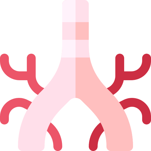 Bronchus medicine healthcare and medical bronchus icon