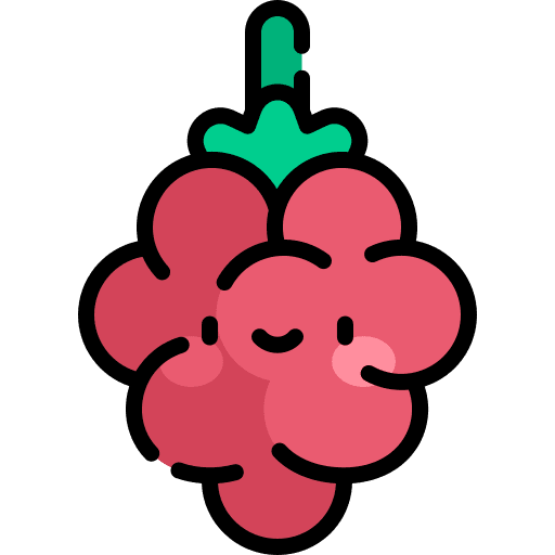 Raspberry organic vegetarian vegan icon