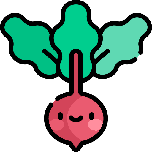 Beet healthy food beet diet icon