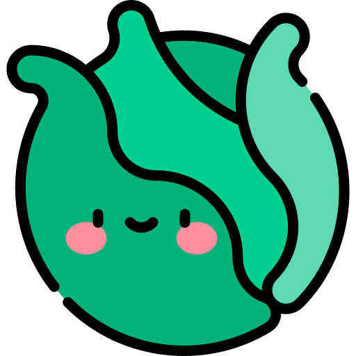 Cabbage diet healthy food food and restaurant icon