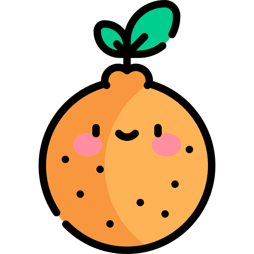 Orange vegetarian vegan healthy food icon