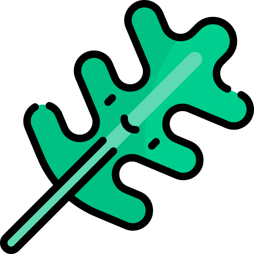 Arugula vegetarian food diet icon