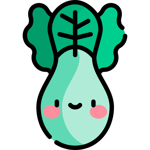Bok choy vegetable bok choy diet icon