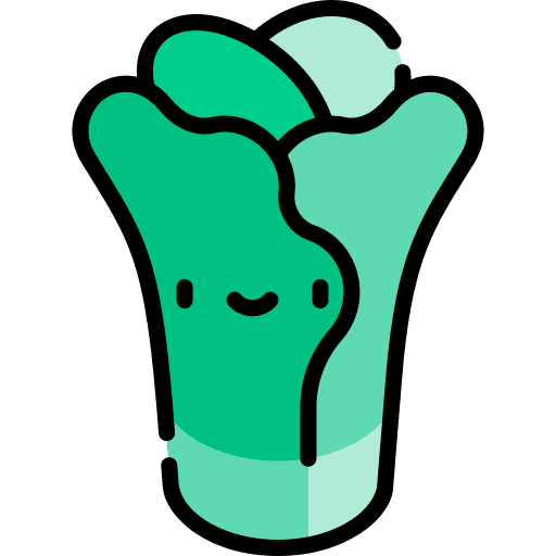 Lettuce healthy food lettuce organic icon