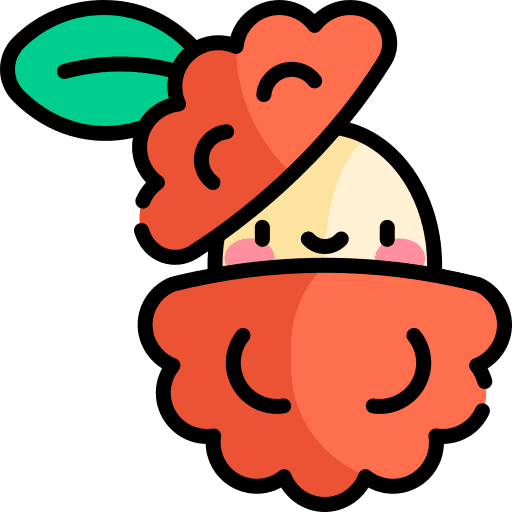 Lychee vegan healthy food vegetarian icon