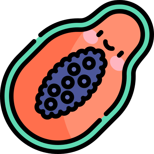 Papaya food and restaurant papaya vegetarian icon