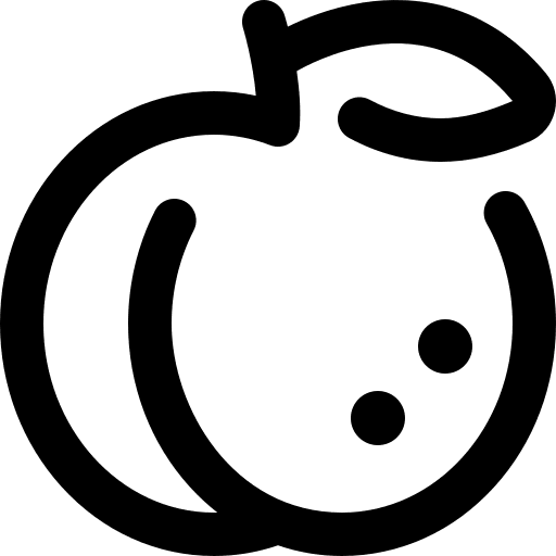 Apricot fruit apricot healthy food icon