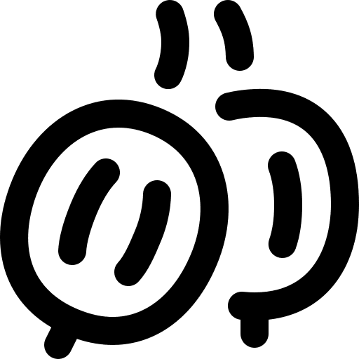 Gooseberry diet vegan food icon