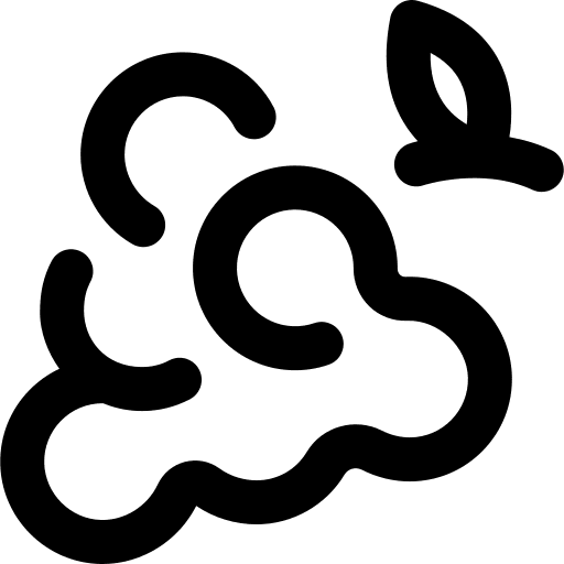 Grapes healthy food fruit vegan icon