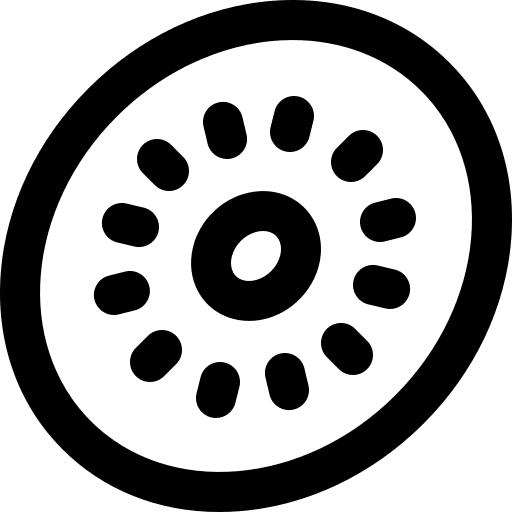 Kiwi healthy food vegetarian fruit icon