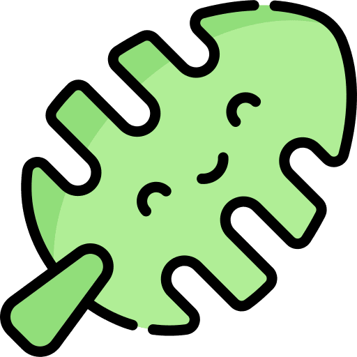 Monstera leaf palm leaves monstera leaf plant icon