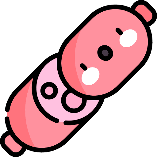 Sausage pork meat sausage icon
