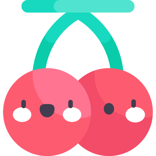 Cherry diet food organic icon