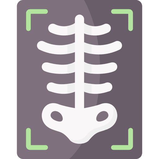 X ray human body radiology injury icon