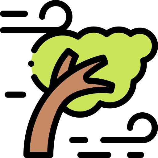 Wind hurricane weather tree icon