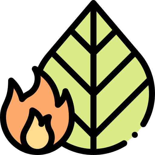 Leaf natural disaster burn pollution icon