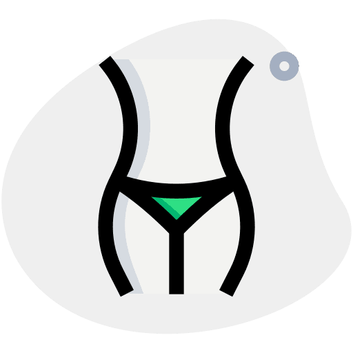 Body body panty slim icon