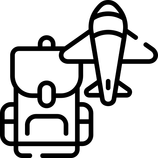 Travel plane flight travel icon