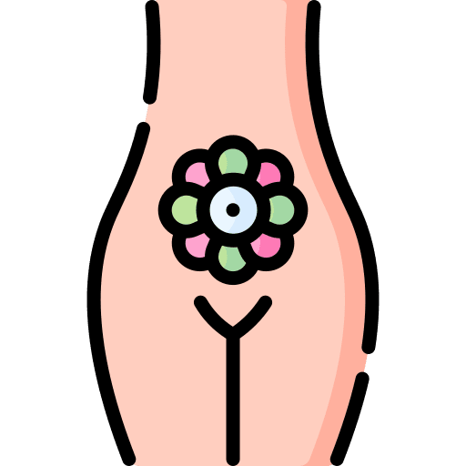 Vagina organ vagina period icon