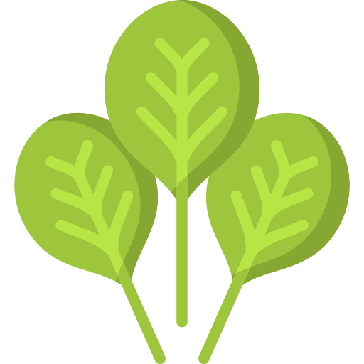 Spinach vegan vegetarian spinach icon