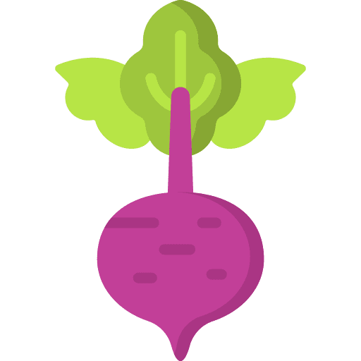 Beetroot beetroot vegan diet icon