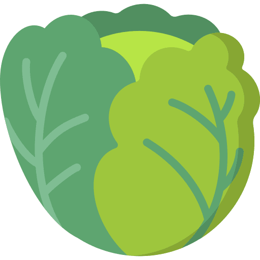 Cabbage vegetable vegetarian food and restaurant icon