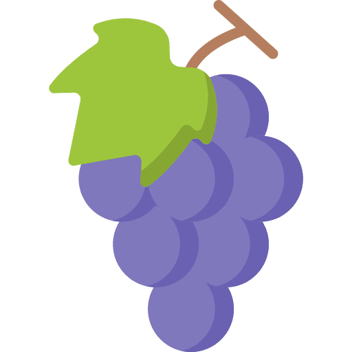 Grape fruit vegetarian diet icon