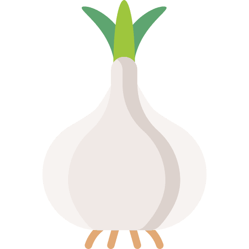 Onion vegan healthy vegetarian icon