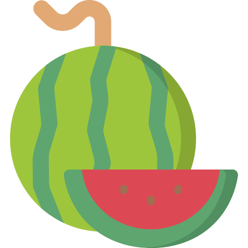Watermelon organic vegetarian watermelon icon