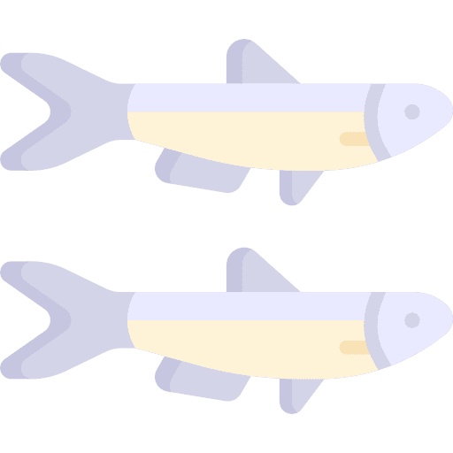 Anchovy sea life fish marine icon