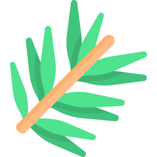 Rosemary aromatic plant condiments icon