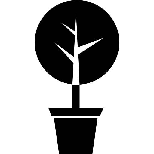 Yard tree of circular shape in a pot rounded yard circular icon