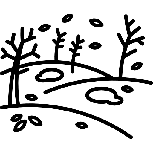 Autumn cold leaves fall icon