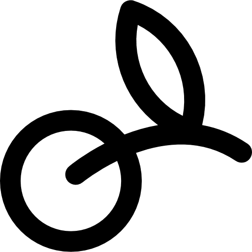 Olive vegan healthy food vegetarian icon