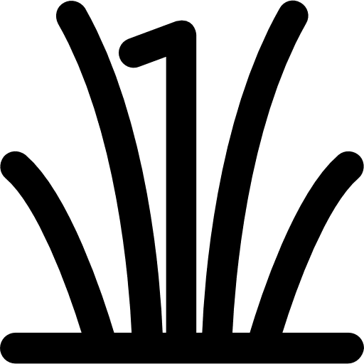 Reed bed nature plant botanical icon