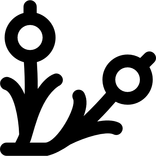 Flower rose nature blossom icon