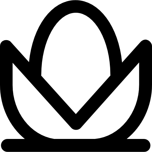 Lotus garden blossom nature icon