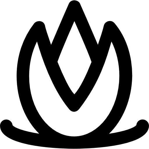 Lotus botanical lotus nature icon