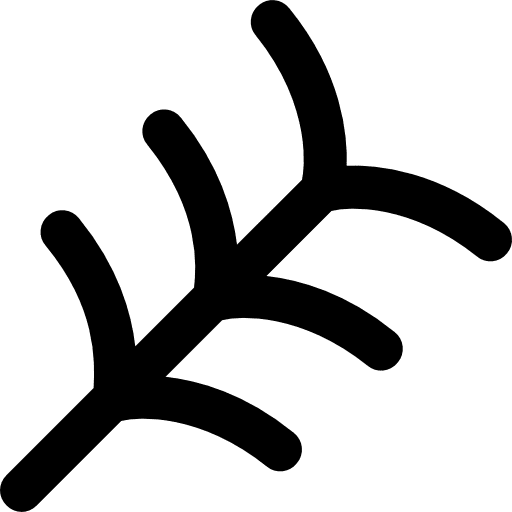 Plant botanical nature garden icon