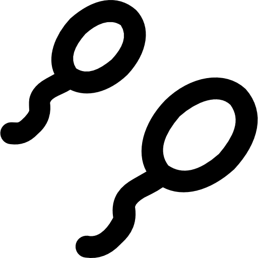 Spermatozoon reproduction spermatozoon fertilization icon