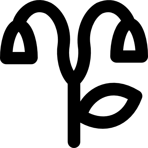 Daffodil petals nature blossom icon