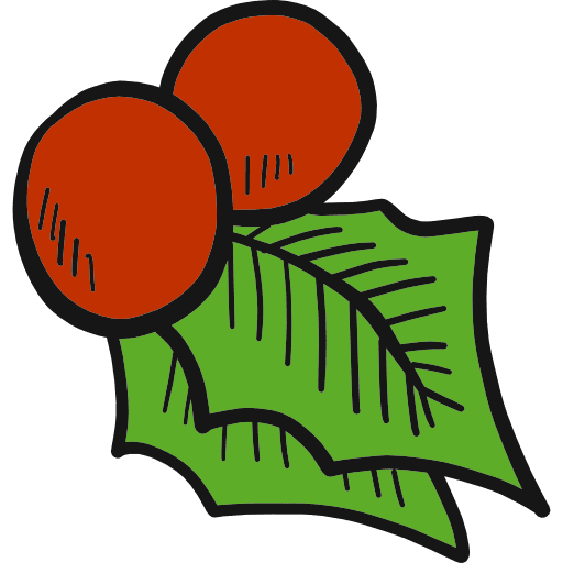 Mistletoe ornament christmas nature icon