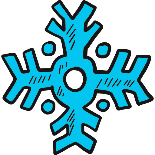 Snowflake nature snowflake snow icon