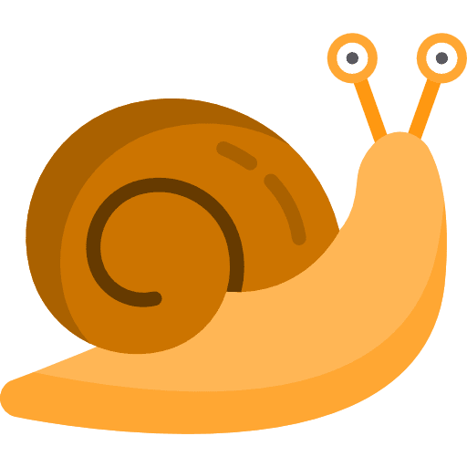 Snail wildlife animals animal kingdom icon