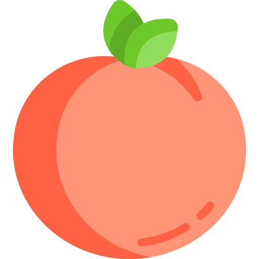 Apricot vegetarian food food and restaurant icon