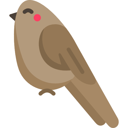 Bird animal ornithology animals icon